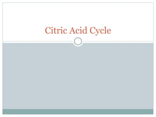 Citric Acid Cycle
 