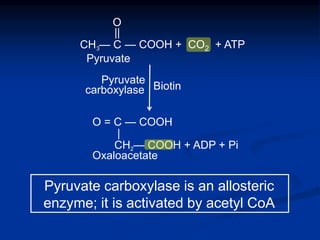 Pyruvate carboxylase is an allosteric
enzyme; it is activated by acetyl CoA
CH — C3 — COOH + CO2 + ATP
Pyruvate
carboxylase Biotin
O = C — COOH
|
CH — COOH + ADP + Pi2
Oxaloacetate
O
||
Pyruvate
 