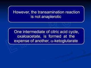 However, the transamination reaction
is not anaplerotic
One intermediate of citric acid cycle,
oxaloacetate, is formed at the
expense of another, a-ketoglutarate
 