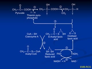 CH3— C— COOH
O
|| 
T ‒ H
CH3— C— COOH
OH
|
|
T CO2
CH3— C— H
OH
|
|
TPyruvate
Thiamin pyro-
phosphate
CoA – SH
Coenzyme A
O L
||
CH3 — C ~ S SH
S-Acetyl lipoic
acid
L
S — S
Oxidised
lipoic acid
O
||
CH3— C ~ S— CoA
Acetyl CoA
L
SH SH
Reduced
lipoic acid
FAD FADH2
NADH+ + H NAD +





EMB-RCG
 