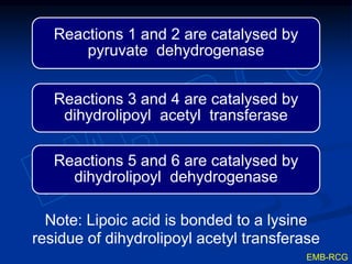 Reactions 1 and 2 are catalysed by
pyruvate dehydrogenase
Reactions 3 and 4 are catalysed by
dihydrolipoyl acetyl transferase
Reactions 5 and 6 are catalysed by
dihydrolipoyl dehydrogenase
EMB-RCG
Note: Lipoic acid is bonded to a lysine
residue of dihydrolipoyl acetyl transferase
 