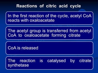 Reactions of citric acid cycle
In the first reaction of the cycle, acetyl CoA
reacts with oxaloacetate
The acetyl group is transferred from acetyl
CoA to oxaloacetate forming citrate
CoA is released
The reaction is catalysed by citrate
synthetase
 