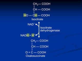 HO — CH — COOH
Isocitrate
dehydrogenase
CH2— COOH
|
CH — COOH
|
O = C — COOH
CH2— COOH
|
CH — COOH
|
Isocitrate
NAD
+
NADH + H
+
Oxalosuccinate
 