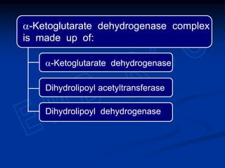 a-Ketoglutarate dehydrogenase complex
is made up of:
a-Ketoglutarate dehydrogenase
Dihydrolipoyl acetyltransferase
Dihydrolipoyl dehydrogenase
 