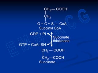 GDP + Pi
Succinate
thiokinase
CH2 — COOH
|
CH2 —COOH
CH2 — COOH
|
CH2
|
O = C ~ S — CoA
Succinyl CoA
Succinate
GTP + CoA–SH
 