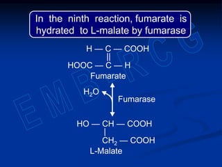 Fumarase
HO — CH — COOH
|
CH2 — COOH
H — C — COOH
||
HOOC — C — H
Fumarate
H2O
L-Malate
In the ninth reaction, fumarate is
hydrated to L-malate by fumarase
 