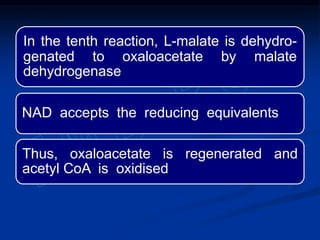In the tenth reaction, L-malate is dehydro-
genated to oxaloacetate by malate
dehydrogenase
NAD accepts the reducing equivalents
Thus, oxaloacetate is regenerated and
acetyl CoA is oxidised
 