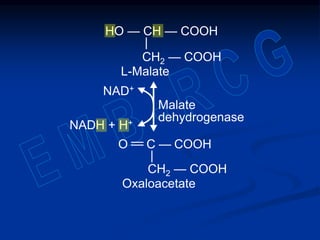 Malate
dehydrogenase
O —— C — COOH
|
CH2 — COOH
HO — CH — COOH
|
CH2 — COOH
L-Malate
NAD+
NADH + H+
Oxaloacetate
 