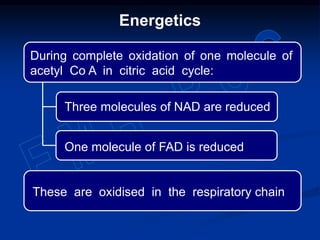 During complete oxidation of one molecule of
acetyl Co A in citric acid cycle:
These are oxidised in the respiratory chain
Energetics
Three molecules of NAD are reduced
One molecule of FAD is reduced
 