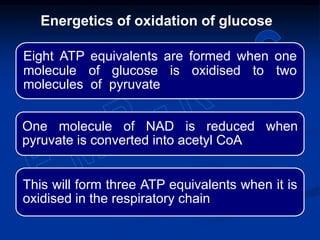 Eight ATP equivalents are formed when one
molecule of glucose is oxidised to two
molecules of pyruvate
One molecule of NAD is reduced when
pyruvate is converted into acetyl CoA
This will form three ATP equivalents when it is
oxidised in the respiratory chain
Energetics of oxidation of glucose
 