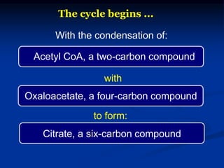 Acetyl CoA, a two-carbon compound
With the condensation of:
The cycle begins ...
Citrate, a six-carbon compound
to form:
Oxaloacetate, a four-carbon compound
with
 
