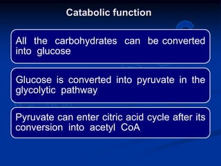 All the carbohydrates can be converted
into glucose
Glucose is converted into pyruvate in the
glycolytic pathway
Pyruvate can enter citric acid cycle after its
conversion into acetyl CoA
Catabolic function
 