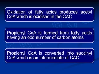 Oxidation of fatty acids produces acetyl
CoA which is oxidised in the CAC
Propionyl CoA is formed from fatty acids
having an odd number of carbon atoms
Propionyl CoA is converted into succinyl
CoA which is an intermediate of CAC
 
