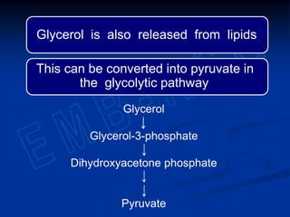 Glycerol
Glycerol-3-phosphate
Dihydroxyacetone phosphate
Pyruvate
Glycerol is also released from lipids
This can be converted into pyruvate in
the glycolytic pathway
 