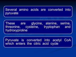 Several amino acids are converted into
pyruvate
These are glycine, alanine, serine,
threonine, cysteine, tryptophan and
hydroxyproline
Pyruvate is converted into acetyl CoA
which enters the citric acid cycle
 
