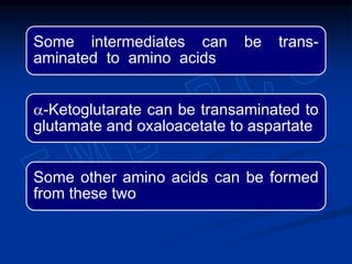 Some intermediates can be trans-
aminated to amino acids
a-Ketoglutarate can be transaminated to
glutamate and oxaloacetate to aspartate
Some other amino acids can be formed
from these two
 