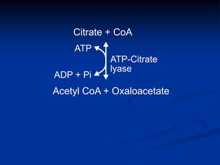 Citrate + CoA
ATP-Citrate
lyase
ATP
ADP + Pi
Acetyl CoA + Oxaloacetate
 