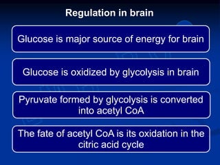 Glucose is major source of energy for brain
Pyruvate formed by glycolysis is converted
into acetyl CoA
Glucose is oxidized by glycolysis in brain
Regulation in brain
The fate of acetyl CoA is its oxidation in the
citric acid cycle
 
