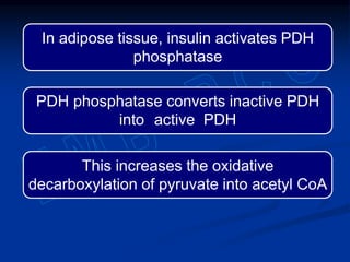 In adipose tissue, insulin activates PDH
phosphatase
This increases the oxidative
decarboxylation of pyruvate into acetyl CoA
PDH phosphatase converts inactive PDH
into active PDH
 
