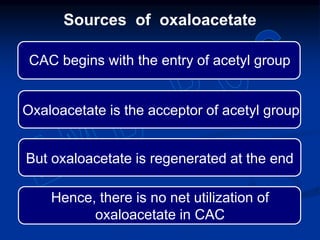 CAC begins with the entry of acetyl group
Sources of oxaloacetate
Hence, there is no net utilization of
oxaloacetate in CAC
But oxaloacetate is regenerated at the end
Oxaloacetate is the acceptor of acetyl group
 