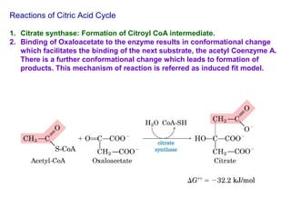 Reactions of Citric Acid Cycle
1. Citrate synthase: Formation of Citroyl CoA intermediate.
2. Binding of Oxaloacetate to the enzyme results in conformational change
which facilitates the binding of the next substrate, the acetyl Coenzyme A.
There is a further conformational change which leads to formation of
products. This mechanism of reaction is referred as induced fit model.
 