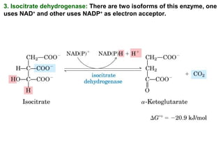 3. Isocitrate dehydrogenase: There are two isoforms of this enzyme, one
uses NAD+
and other uses NADP+
as electron acceptor.
 