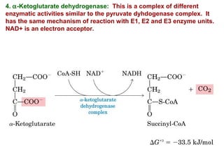 4. α-Ketoglutarate dehydrogenase: This is a complex of different
enzymatic activities similar to the pyruvate dyhdogenase complex. It
has the same mechanism of reaction with E1, E2 and E3 enzyme units.
NAD+ is an electron acceptor.
 