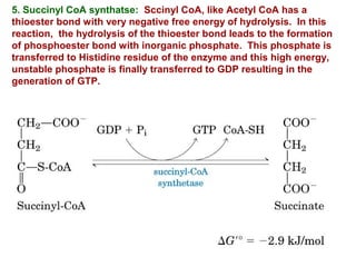 5. Succinyl CoA synthatse: Sccinyl CoA, like Acetyl CoA has a
thioester bond with very negative free energy of hydrolysis. In this
reaction, the hydrolysis of the thioester bond leads to the formation
of phosphoester bond with inorganic phosphate. This phosphate is
transferred to Histidine residue of the enzyme and this high energy,
unstable phosphate is finally transferred to GDP resulting in the
generation of GTP.
 
