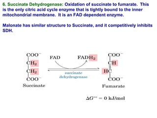 6. Succinate Dehydrogenase: Oxidation of succinate to fumarate. This
is the only citric acid cycle enzyme that is tightly bound to the inner
mitochondrial membrane. It is an FAD dependent enzyme.
Malonate has similar structure to Succinate, and it competitively inhibits
SDH.
 