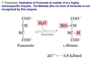 7. Fumarase: Hydration of Fumarate to malate: It is a highly
stereospecific enzyme. Cis-Maleate (the cis form of fumarate is not
recognized by this enzyme.
 