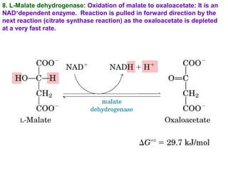 8. L-Malate dehydrogenase: Oxidation of malate to oxaloacetate: It is an
NAD+
dependent enzyme. Reaction is pulled in forward direction by the
next reaction (citrate synthase reaction) as the oxaloacetate is depleted
at a very fast rate.
 