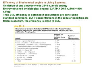 Efficiency of Biochemical engine in Living Systems:
Oxidation of one glucose yields 2840 kJ/mole energy
Energy obtained by biological engine: 32ATP X 30.5 kJ/Mol = 976
kJ/mol
Thus 34% efficiency is obtained if calculations are done using
standard conditions. But if concentrations in the cellular condition are
taken in account, the efficiency is close to 65%.
 