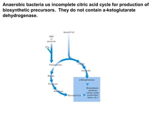 Anaerobic bacteria us incomplete citric acid cycle for production of
biosynthetic precursors. They do not contain a-ketoglutarate
dehydrogenase.
 