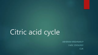 Citric acid cycle
ABHIRAM KRISHNAN P
I MSC ZOOLOGY
CUK
 