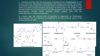 3. Formation of Acetyl CoA; The acetyl group is transferred from acetyllipoamide to CoA
to form acetyl CoA. Dihydrolipoyl transacetylase (E2) catalyzes this reaction. The energy-
rich thioester bond is preserved as the acetyl group is transferred to CoA. Recall that CoA
serves as a carrier of many activated acyl groups, of which acetyl is the simplest. Acetyl
CoA, the fuel for the citric acid cycle, has now been generated from pyruvate. The pyruvate
dehydrogenase complex cannot complete another catalytic cycle until the
dihydrolipoamide is oxidized to lipoamide.
In a fourth step, the oxidized form of lipoamide is regenerated by dihydrolipoyl
dehydrogenase (E3). Two electrons are transferred to an FAD prosthetic group of the
enzyme and then to NAD+.
 