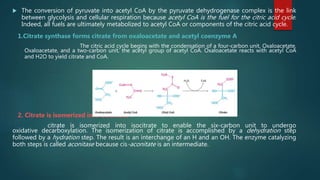  The conversion of pyruvate into acetyl CoA by the pyruvate dehydrogenase complex is the link
between glycolysis and cellular respiration because acetyl CoA is the fuel for the citric acid cycle.
Indeed, all fuels are ultimately metabolized to acetyl CoA or components of the citric acid cycle.
1.Citrate synthase forms citrate from oxaloacetate and acetyl coenzyme A
The citric acid cycle begins with the condensation of a four-carbon unit, Oxaloacetate,
Oxaloacetate, and a two-carbon unit, the acetyl group of acetyl CoA. Oxaloacetate reacts with acetyl CoA
and H2O to yield citrate and CoA.
2. Citrate is isomerized into isocitrate
citrate is isomerized into isocitrate to enable the six-carbon unit to undergo
oxidative decarboxylation. The isomerization of citrate is accomplished by a dehydration step
followed by a hydration step. The result is an interchange of an H and an OH. The enzyme catalyzing
both steps is called aconitase because cis-aconitate is an intermediate.
 