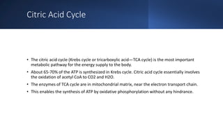 Citric Acid Cycle
• The citric acid cycle (Krebs cycle or tricarboxylic acid—TCA cycle) is the most important
metabolic pathway for the energy supply to the body.
• About 65-70% of the ATP is synthesized in Krebs cycle. Citric acid cycle essentially involves
the oxidation of acetyl CoA to CO2 and H2O.
• The enzymes of TCA cycle are in mitochondrial matrix, near the electron transport chain.
• This enables the synthesis of ATP by oxidative phosphorylation without any hindrance.
 