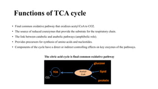 Functions of TCA cycle
• Final common oxidative pathway that oxidizes acetyl CoA to CO2.
• The source of reduced coenzymes that provide the substrate for the respiratory chain.
• The link between catabolic and anabolic pathways (amphibolic role).
• Provides precursors for synthesis of amino acids and nucleotides.
• Components of the cycle have a direct or indirect controlling effects on key enzymes of the pathways.
The citric acid cycle is final common oxidative pathway
CO2
 