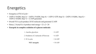 Energetics
• Energetics of TCA Cycle=
• 3ATP (1 NADH, Step 3) + 3ATP (1 NADH, Step 4) + 1ATP (1 GTP, Step 5) + 2ATP (1 FADH2, Step 6) +
3ATP (1 NADH, Step 7) = 12 ATP generated.
• Overall TCA cycle produce 2CO2 molecule and generated 12 ATP.
• Hence, 2 Acetyl Co A produce total energy= 12 x 2= 24
• Energetic in complete oxidation of a glucose molecule:
 
