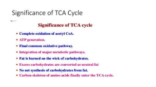 Significance of TCA Cycle
 