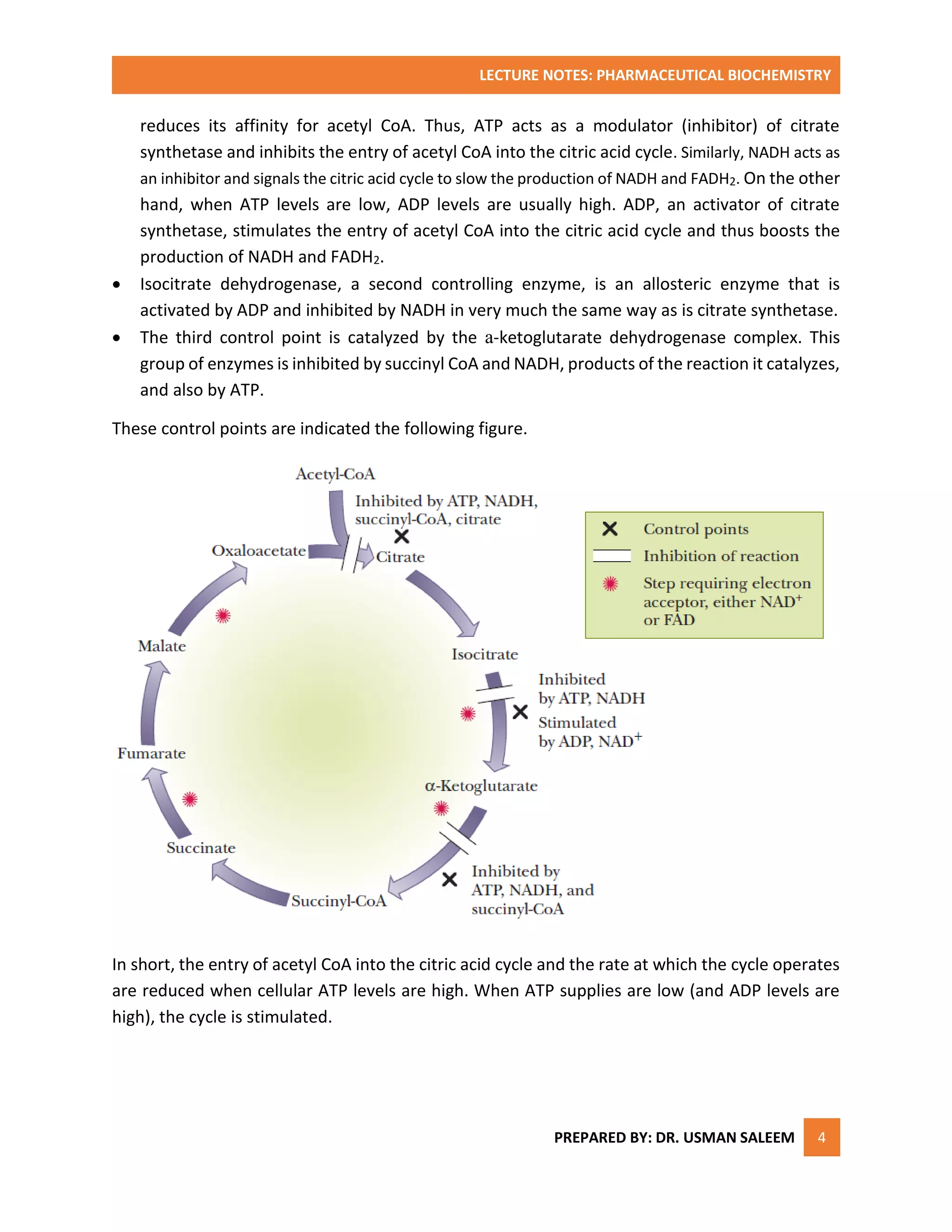 Citric acid cycle (2) | PDF