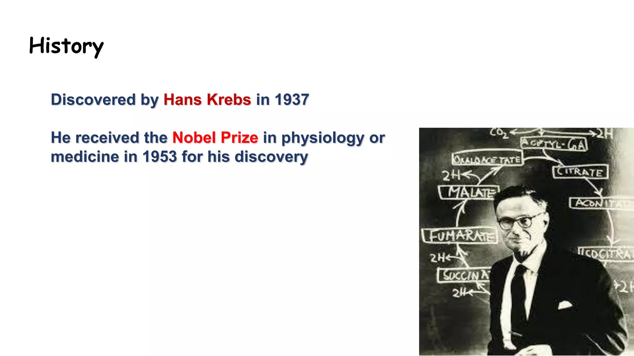 History
Discovered by Hans Krebs in 1937
He received the Nobel Prize in physiology or
medicine in 1953 for his discovery
 