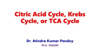 Citric Acid Cycle, Krebs
Cycle, or TCA Cycle
Dr. Atindra Kumar Pandey
Ph.D., PGDCBP
 