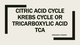 CITRIC ACID CYCLE
KREBS CYCLE OR
TRICARBOXYLIC ACID
TCA
HIMANSHU PANERU
 
