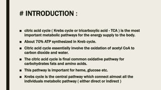 Citric acid cycle krebs cycle or tricarboxylic acid | PPTX