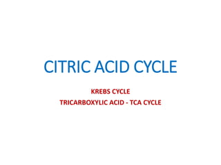 CITRIC ACID CYCLE
KREBS CYCLE
TRICARBOXYLIC ACID - TCA CYCLE
 