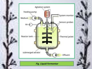 Fig. Liquid Fermentor
 