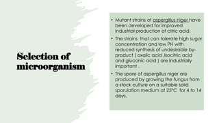 Selection of
microorganism
• Mutant strains of aspergillus niger have
been developed for improved
industrial production of citric acid.
• The strains that can tolerate high sugar
concentration and low PH with
reduced synthesis of undesirable by-
product ( oxalic acid ,Isocitric acid
and gluconic acid ) are Industrially
important .
• The spore of aspergillus niger are
produced by growing the fungus from
a stock culture on a suitable solid
sporulation medium at 25°C for 4 to 14
days.
 