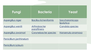 Fungi Bacteria Yeast
Aspergillus niger Bacillus licheniformis Saccharomicops
lipolytica
Aspergillus wentii Arthrobacter
paraffinens
Candida species
Aspergillus awamori Corynebacter species Hansenula anamosa
Penicillium janthinelum
Penicillium luteum
 