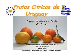 Frutas Cítricas de
      Uruguay
        Programa de Alimentación Escolar
                    C. E. P.




        Responsabilidad de Producción del P.A.E.:
                     Lic. en Nutrición
                        Mery Bolla                     1
   Colaboración en informática :Sra. Carmen Braquet.
 